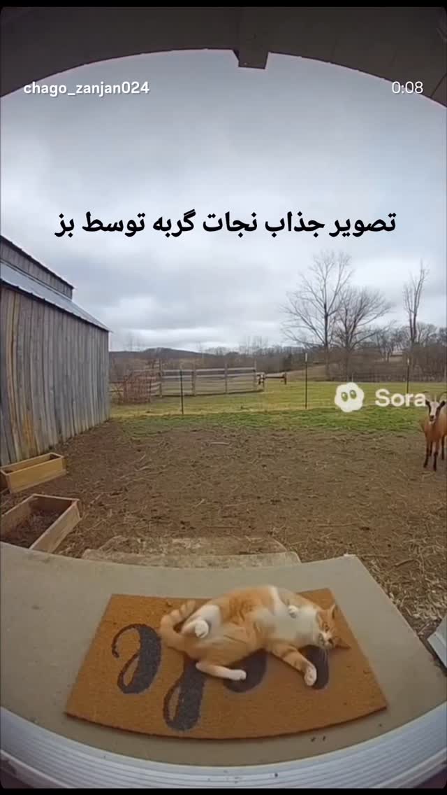  جدید ترین استوری اینستاگرام احسان محبتی