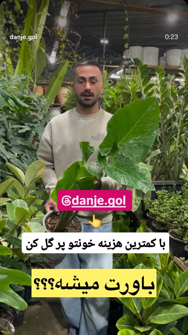  جدید ترین استوری اینستاگرام احسان محبتی