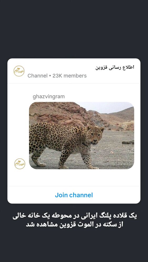  جدید ترین استوری اینستاگرام احسان محبتی