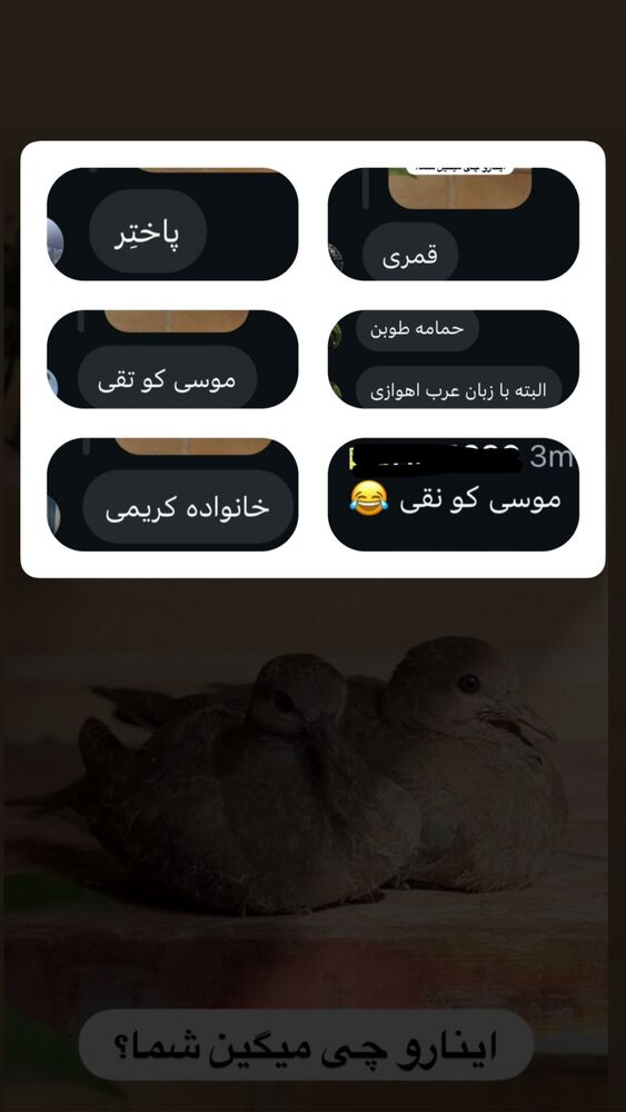  جدید ترین استوری اینستاگرام قدرت الله ایزدی