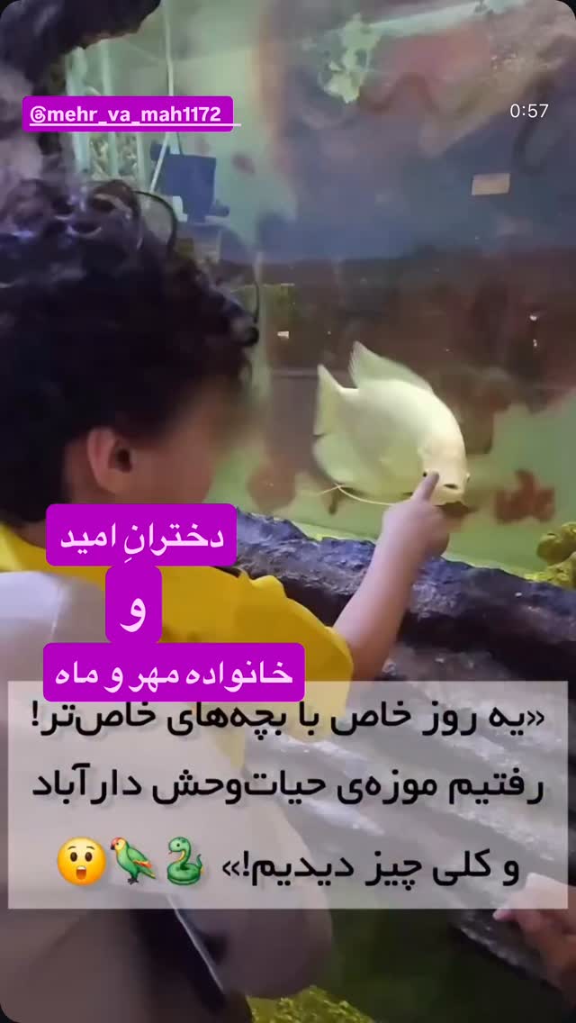  جدید ترین استوری اینستاگرام رسول خادم