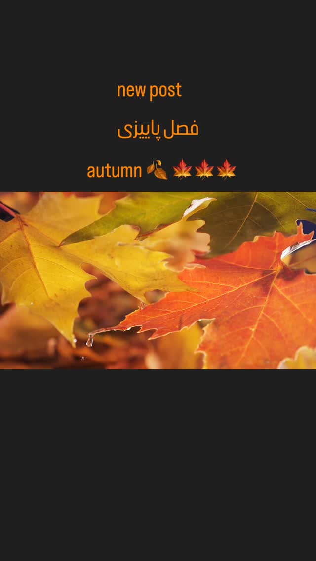  جدید ترین استوری اینستاگرام سیاوش قمیشی