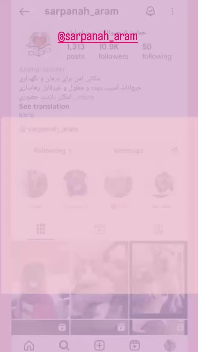  جدید ترین استوری اینستاگرام سیاوش قمیشی