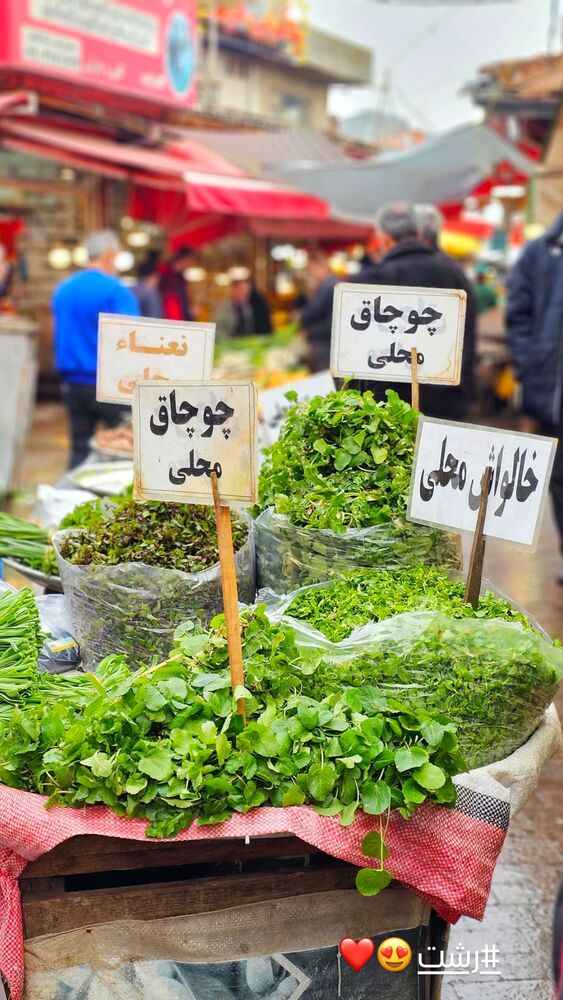  جدید ترین استوری اینستاگرام گیتا اخوان