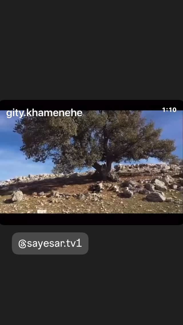 جدید ترین استوری اینستاگرام گيتى خامنهٔ