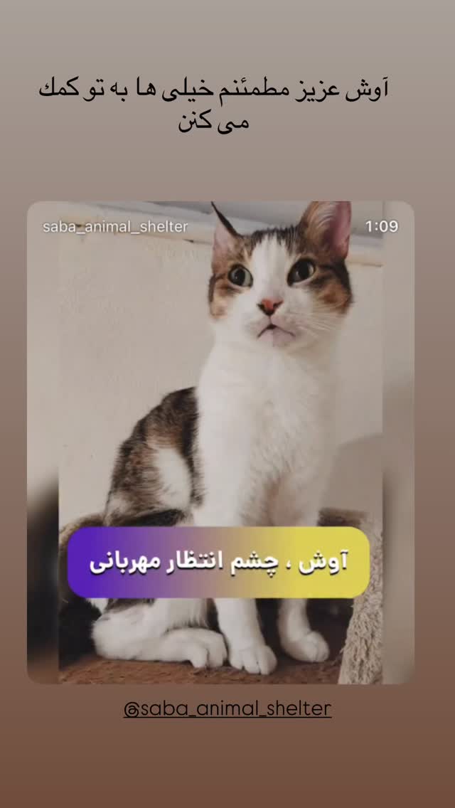  جدید ترین استوری اینستاگرام گلوریا هاردی
