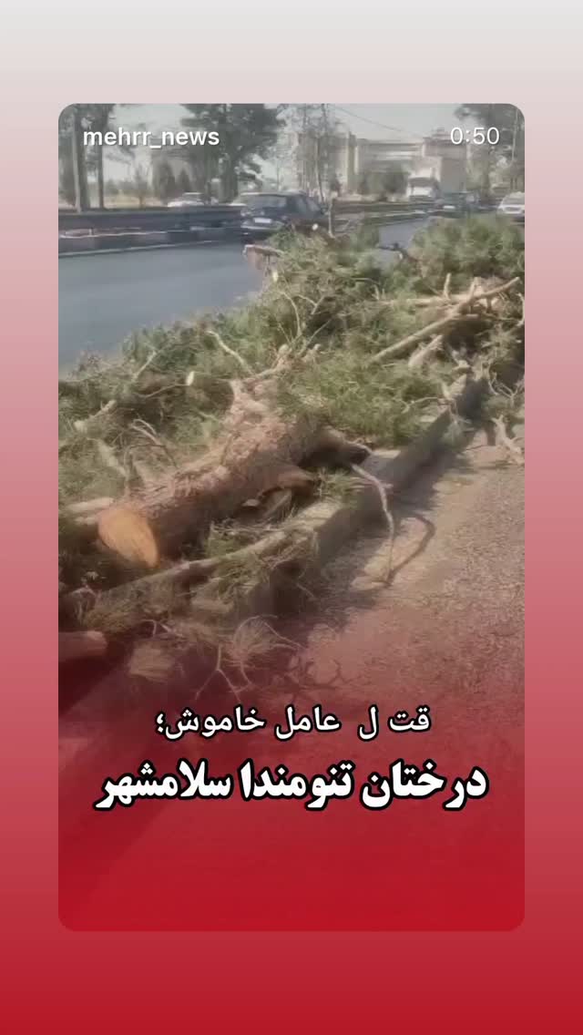  جدید ترین استوری اینستاگرام گلاب آدینه