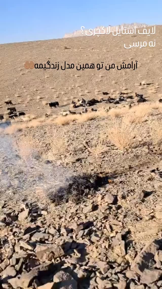  جدید ترین استوری اینستاگرام گلنوش خسروی