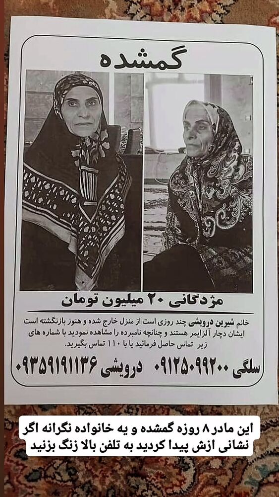  جدید ترین استوری اینستاگرام گلشید گرامی
