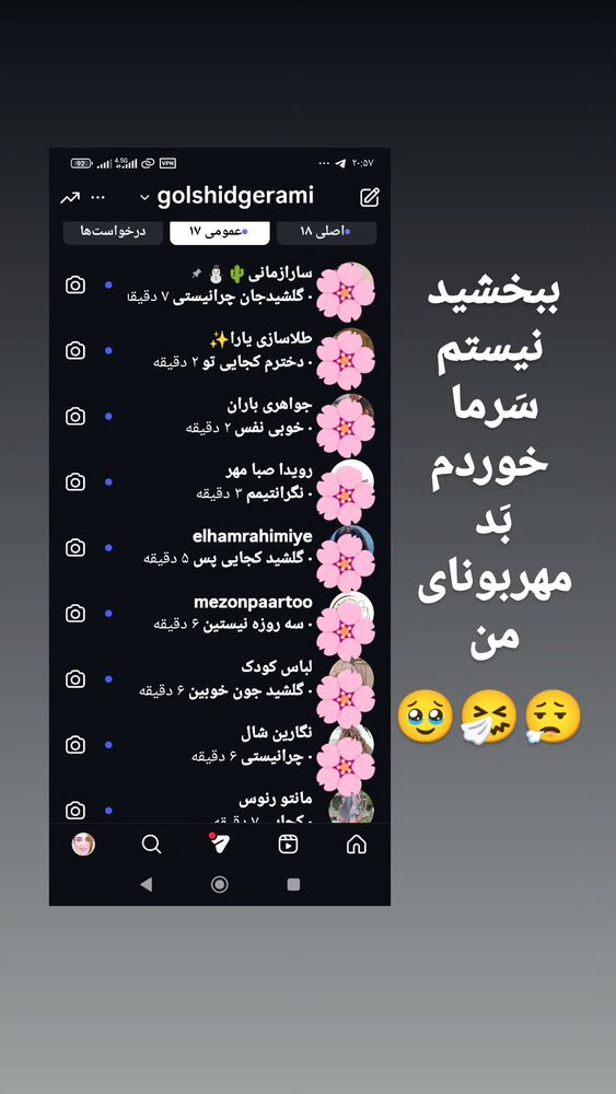  جدید ترین استوری اینستاگرام گلشید گرامی