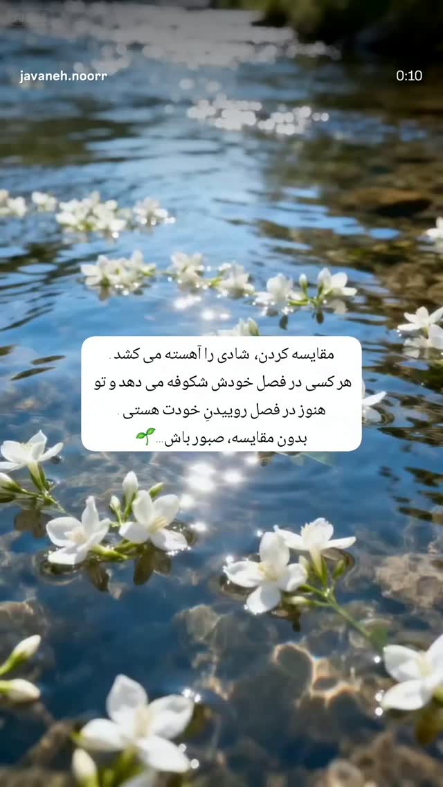  جدید ترین استوری اینستاگرام گلشید گرامی
