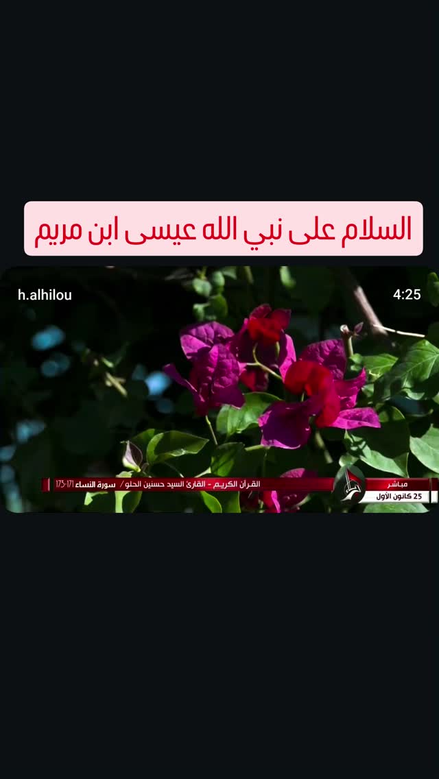  جدید ترین استوری اینستاگرام حسنين الحلو