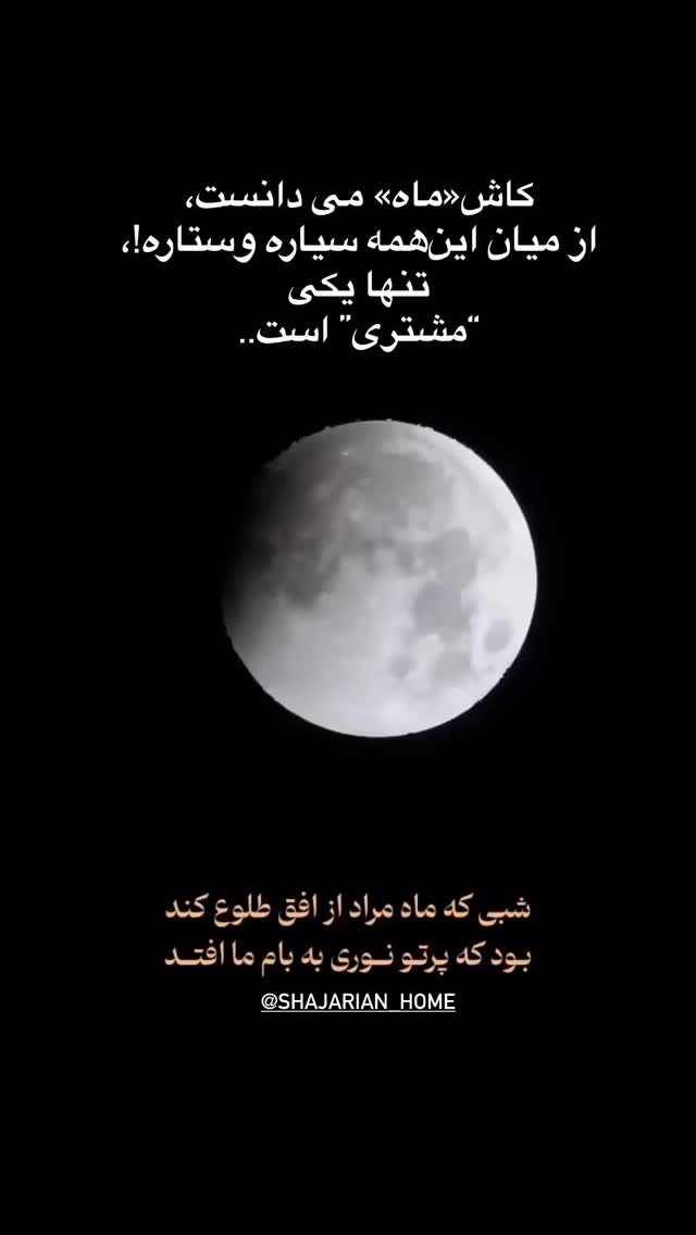  جدید ترین استوری اینستاگرام حبیب رضایی