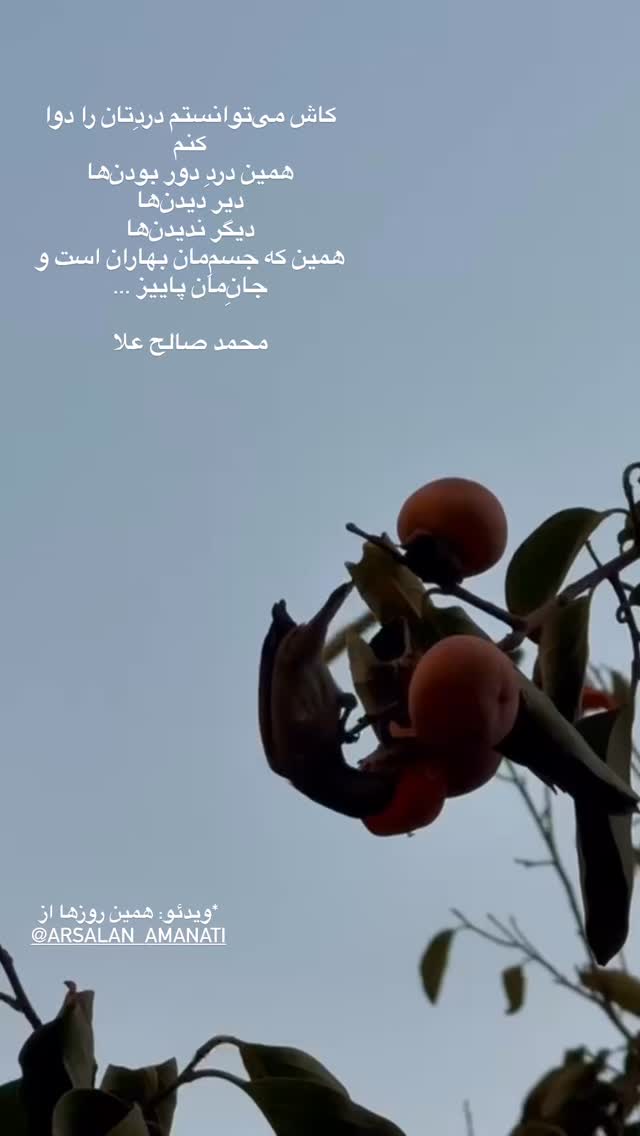  جدید ترین استوری اینستاگرام حبیب رضایی