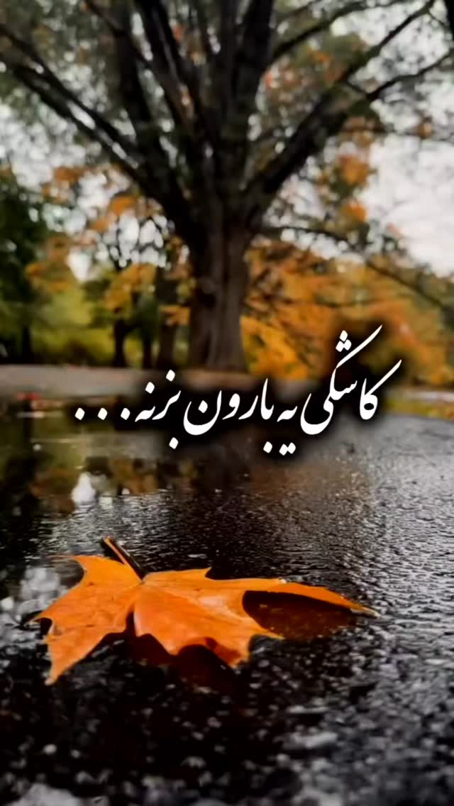  جدید ترین استوری اینستاگرام حبیب رضایی