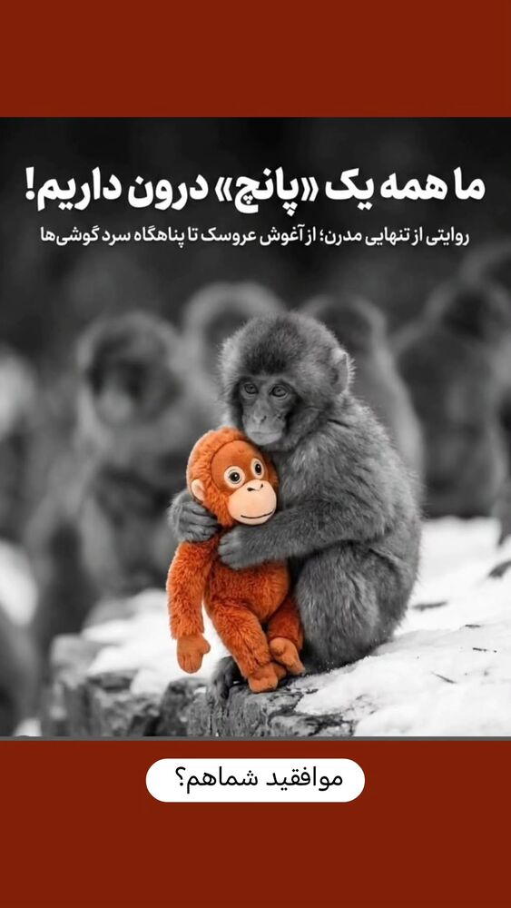  جدید ترین استوری اینستاگرام هادی درویشی