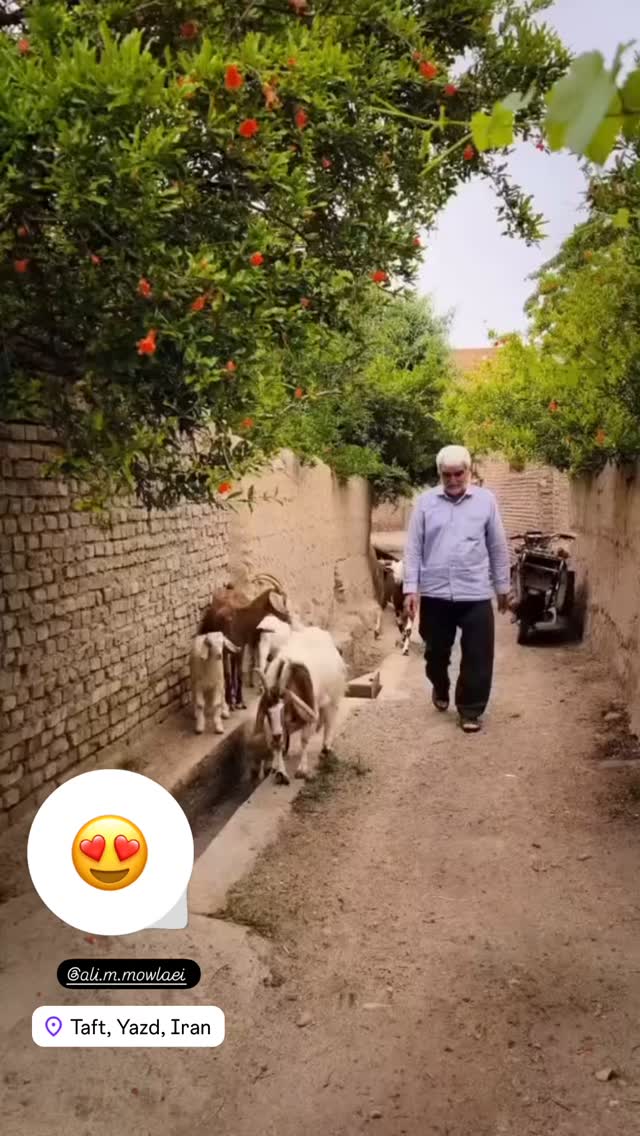  جدید ترین استوری اینستاگرام هادی فلاح