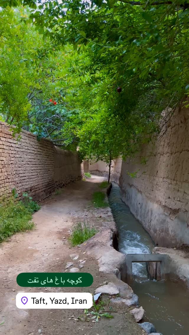  جدید ترین استوری اینستاگرام هادی فلاح