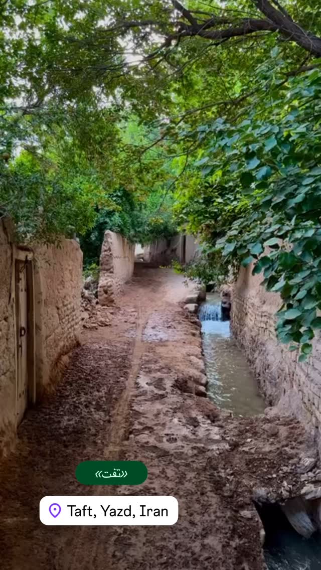  جدید ترین استوری اینستاگرام هادی فلاح