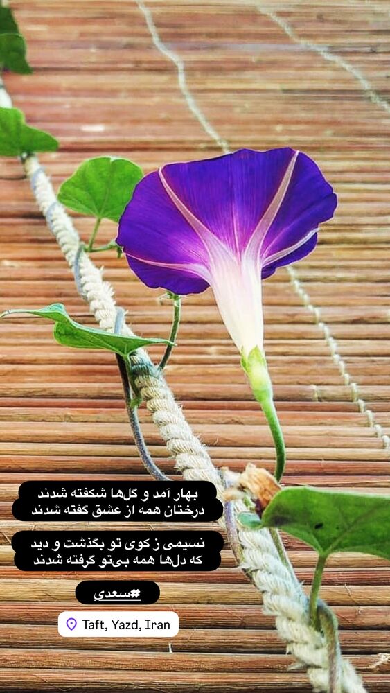  جدید ترین استوری اینستاگرام هادی فلاح
