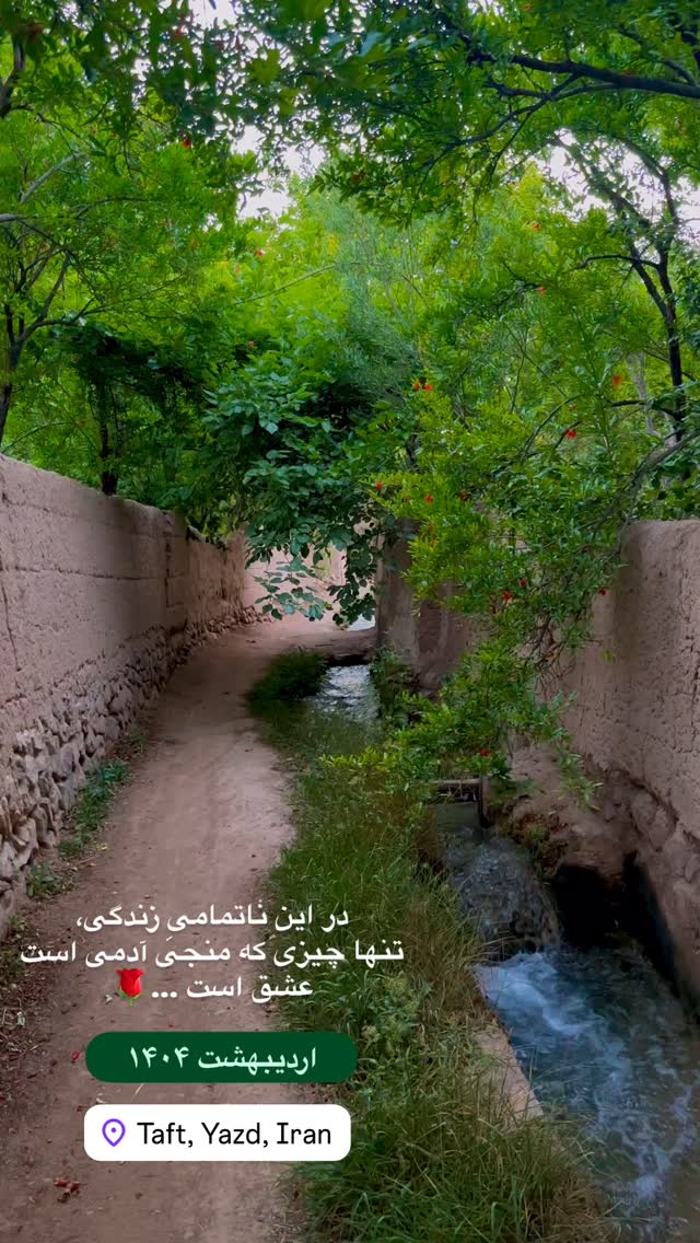  جدید ترین استوری اینستاگرام هادی فلاح