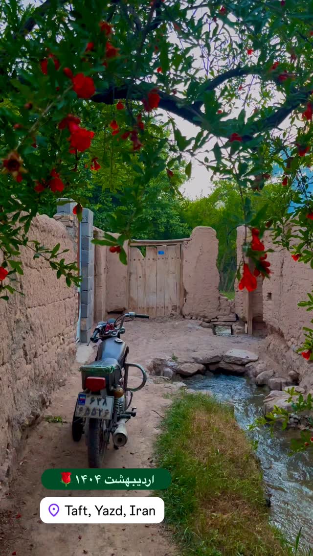  جدید ترین استوری اینستاگرام هادی فلاح