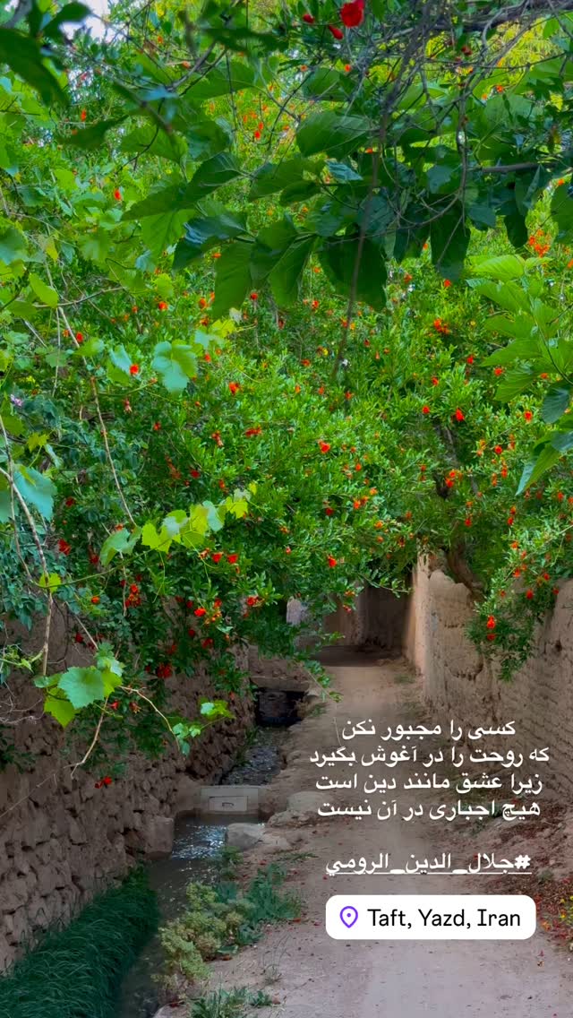  جدید ترین استوری اینستاگرام هادی فلاح