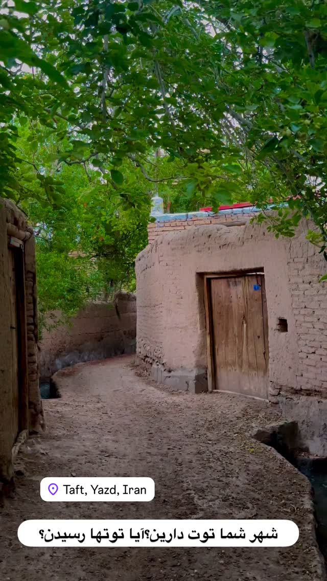  جدید ترین استوری اینستاگرام هادی فلاح