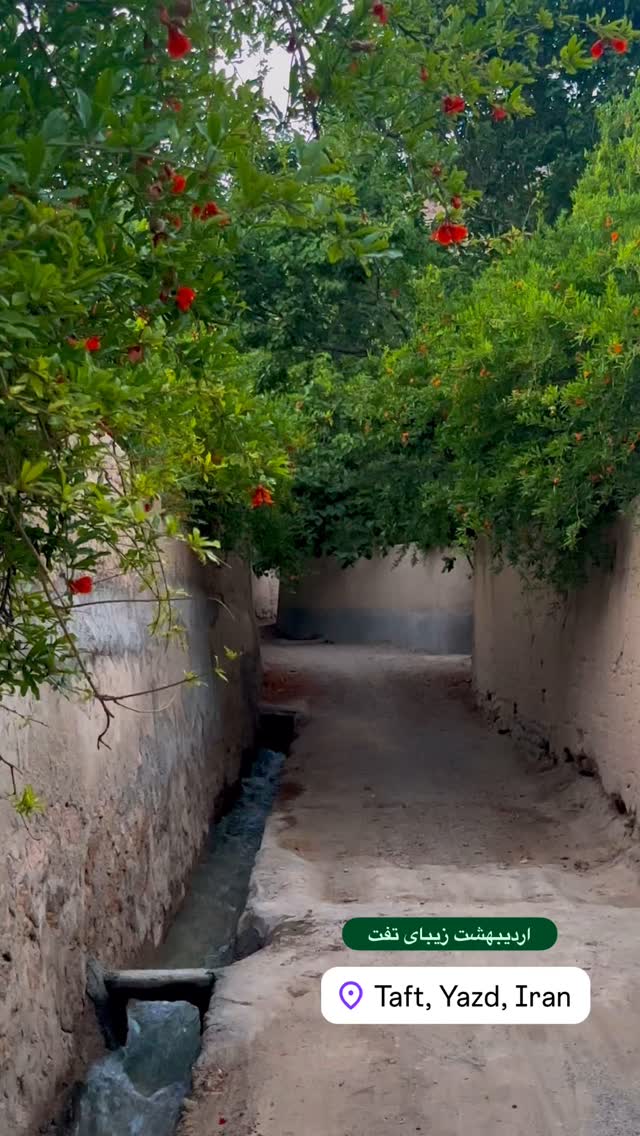  جدید ترین استوری اینستاگرام هادی فلاح