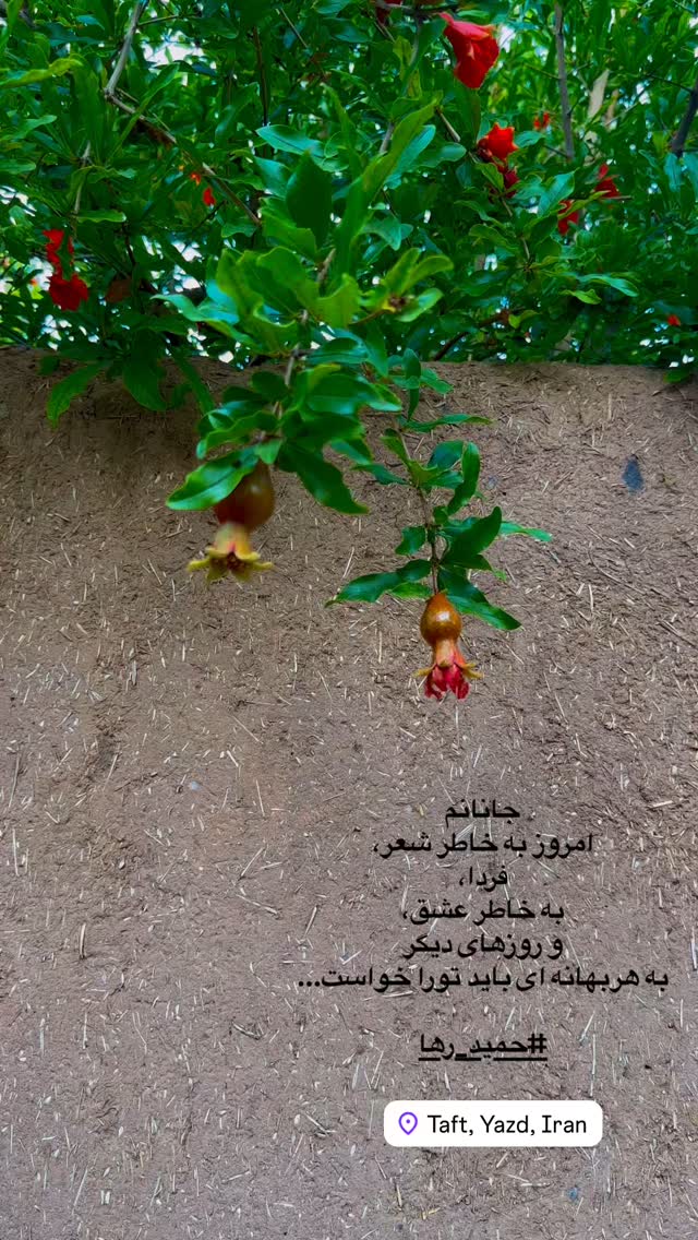  جدید ترین استوری اینستاگرام هادی فلاح