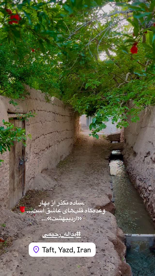  جدید ترین استوری اینستاگرام هادی فلاح