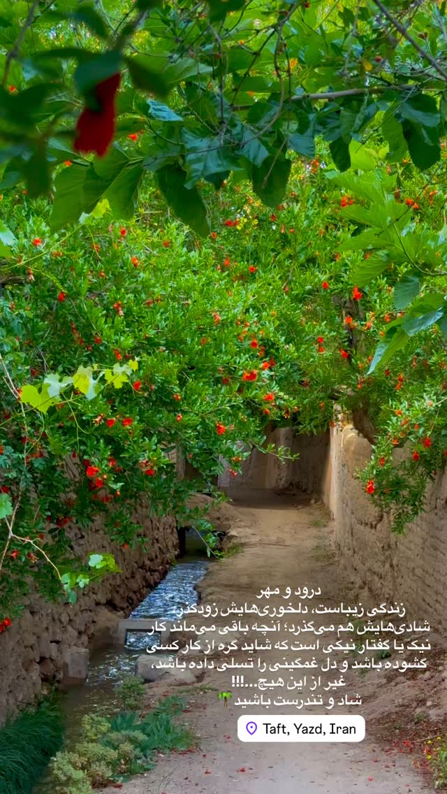  جدید ترین استوری اینستاگرام هادی فلاح