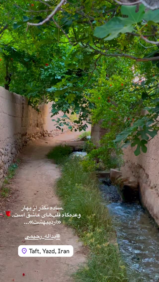  جدید ترین استوری اینستاگرام هادی فلاح