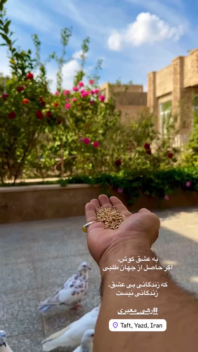  جدید ترین استوری اینستاگرام هادی فلاح