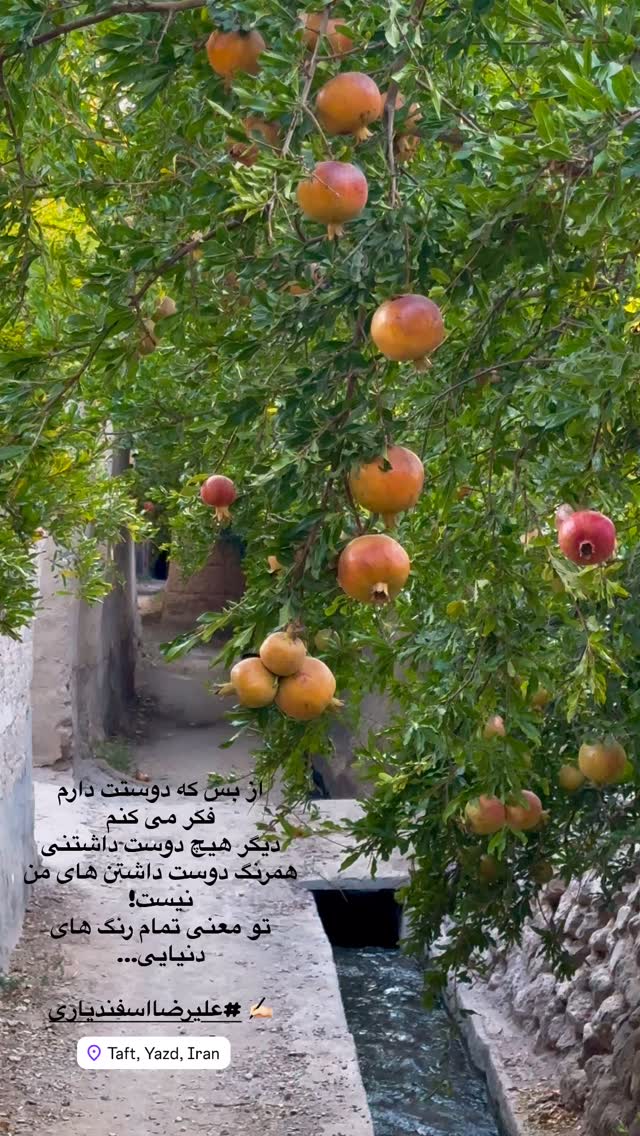  جدید ترین استوری اینستاگرام هادی فلاح
