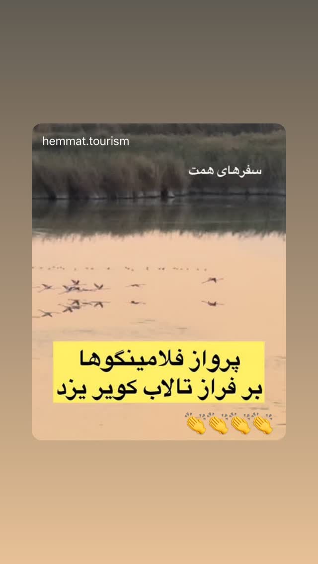  جدید ترین استوری اینستاگرام هادی فلاح