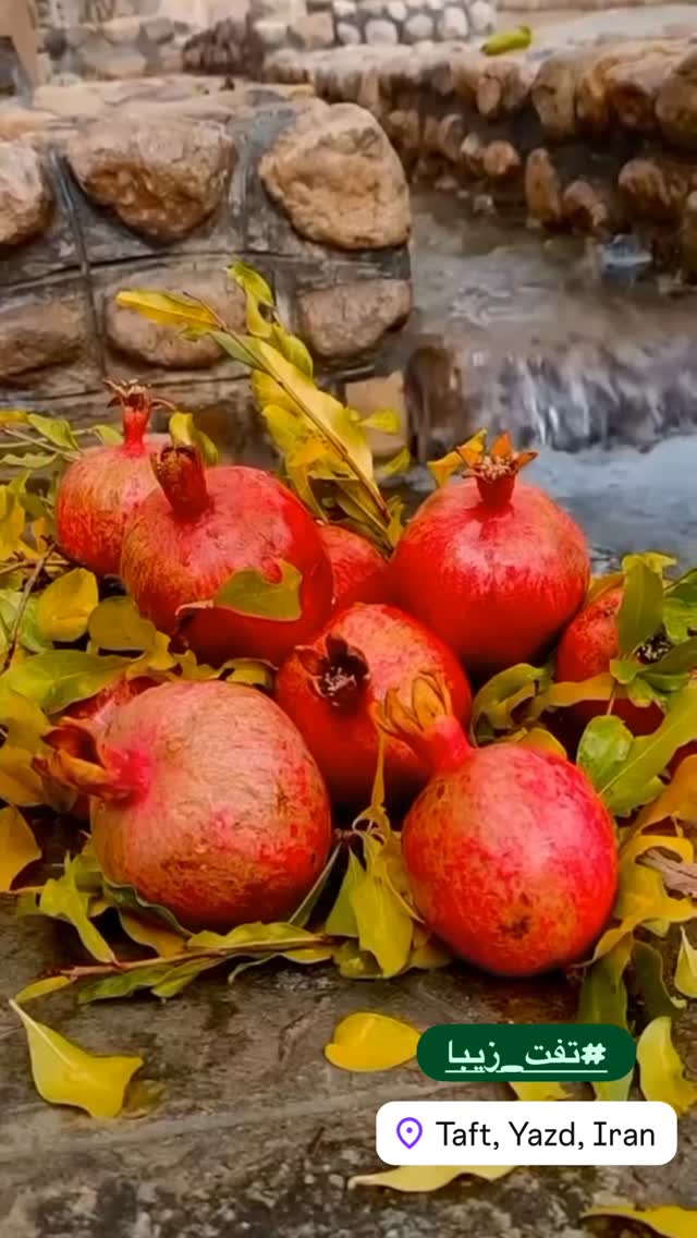  جدید ترین استوری اینستاگرام هادی فلاح