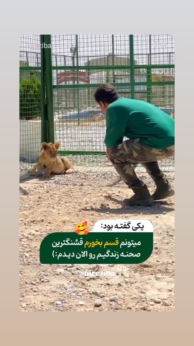  جدید ترین استوری اینستاگرام هادی فلاح