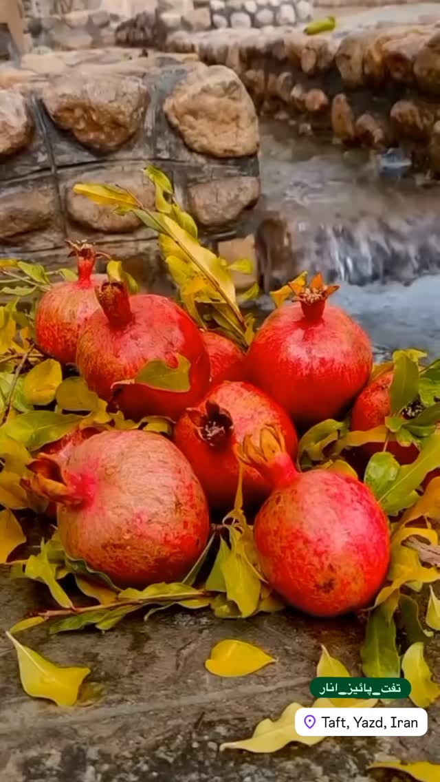  جدید ترین استوری اینستاگرام هادی فلاح