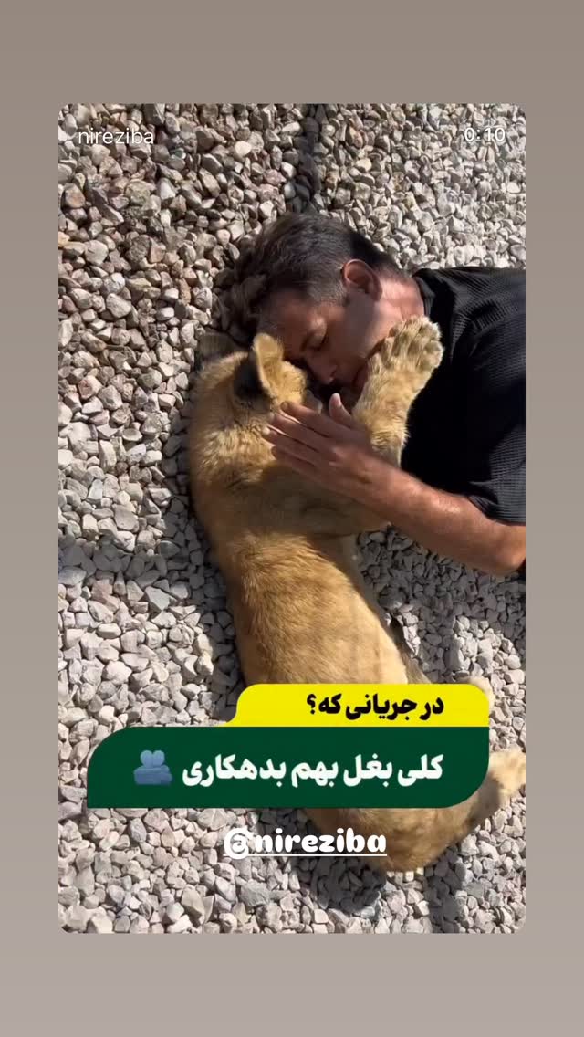  جدید ترین استوری اینستاگرام هادی فلاح