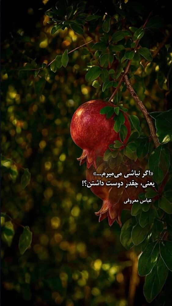  جدید ترین استوری اینستاگرام هادی فلاح