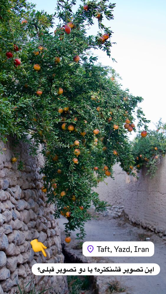  جدید ترین استوری اینستاگرام هادی فلاح