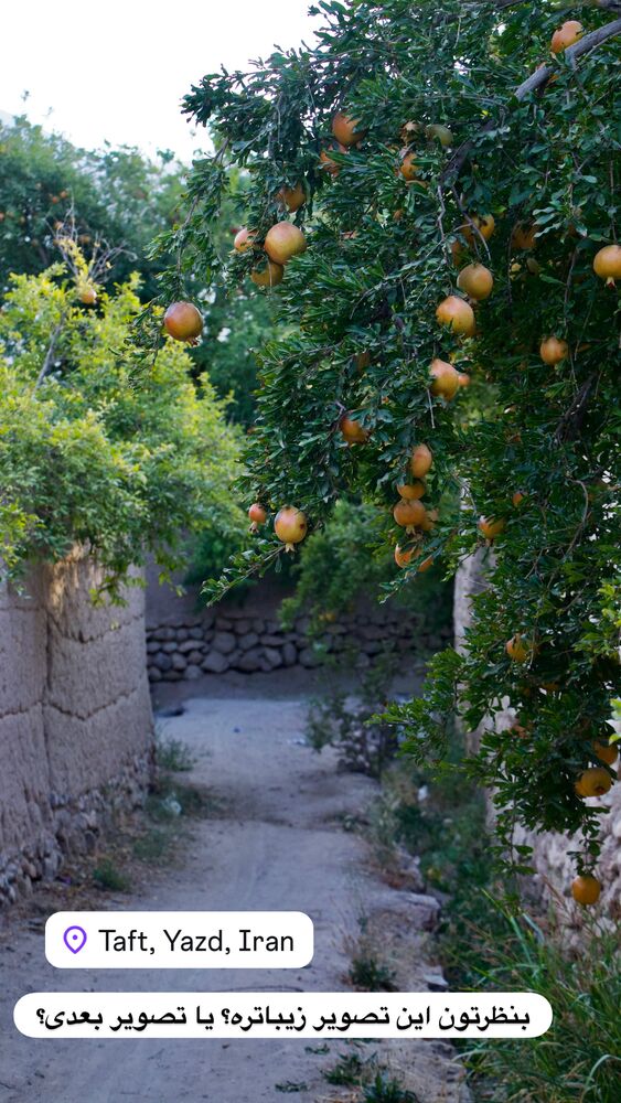  جدید ترین استوری اینستاگرام هادی فلاح