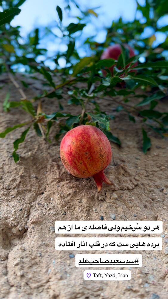  جدید ترین استوری اینستاگرام هادی فلاح