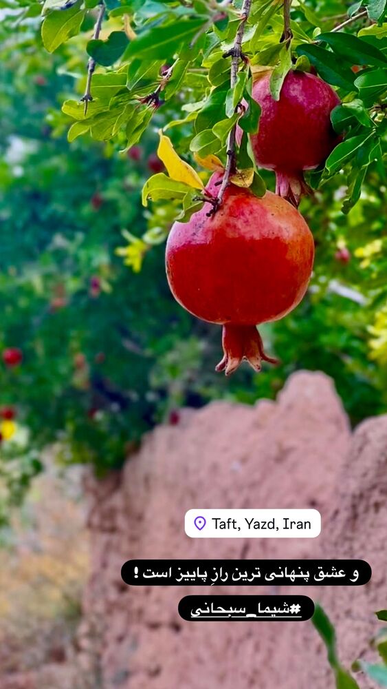  جدید ترین استوری اینستاگرام هادی فلاح