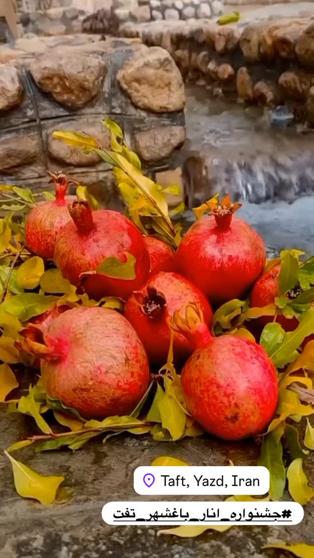  جدید ترین استوری اینستاگرام هادی فلاح