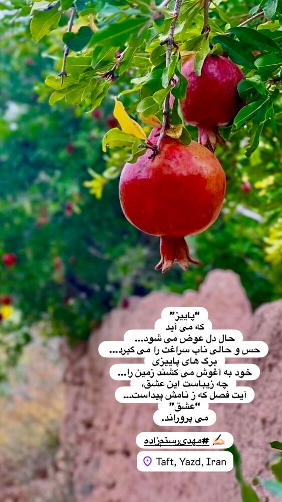  جدید ترین استوری اینستاگرام هادی فلاح