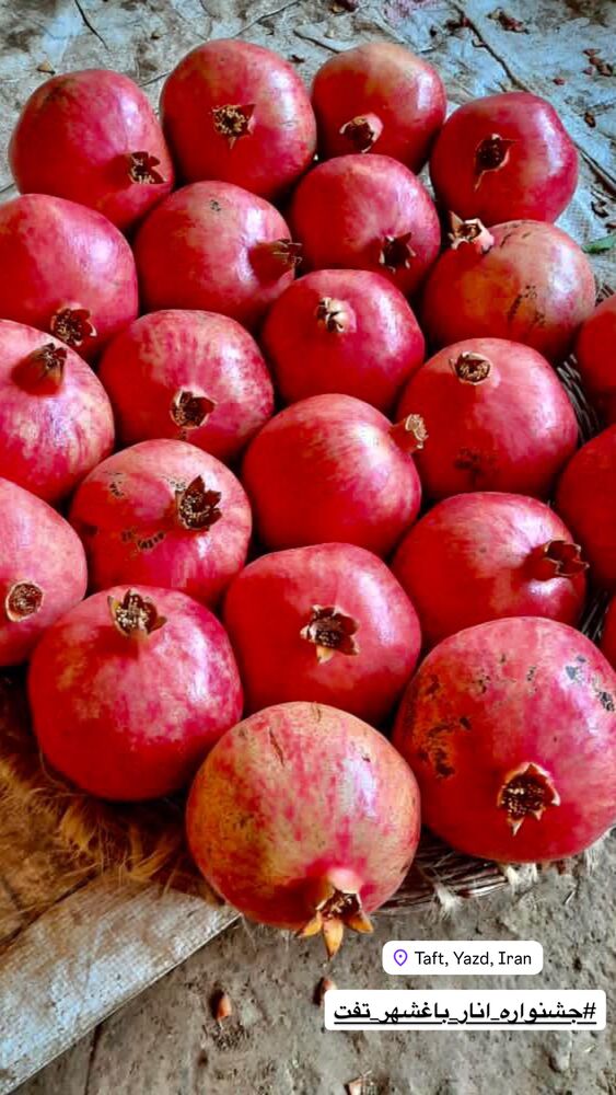  جدید ترین استوری اینستاگرام هادی فلاح