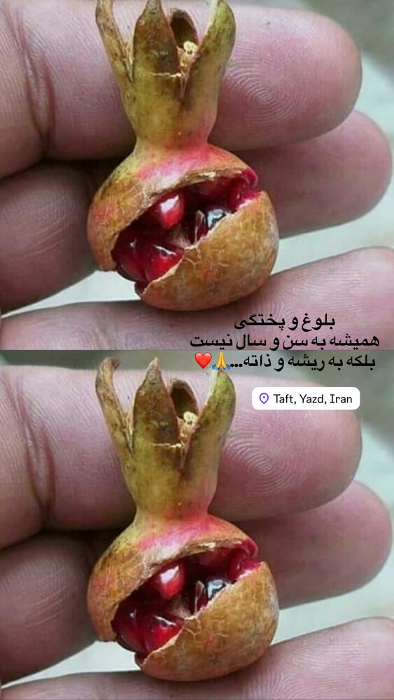  جدید ترین استوری اینستاگرام هادی فلاح