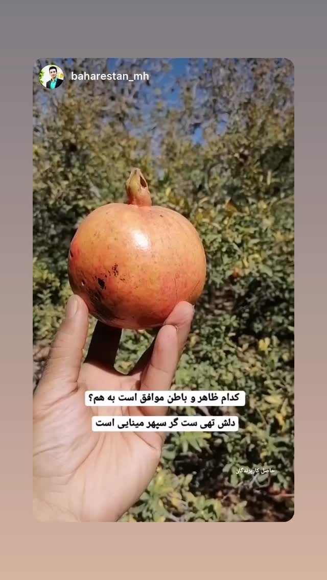  جدید ترین استوری اینستاگرام هادی فلاح